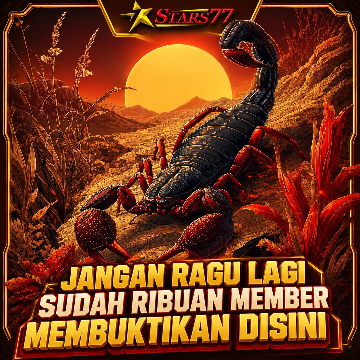 STARS77